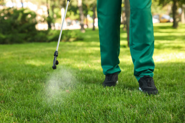 Best Termite Control Services  in Ogden, NC