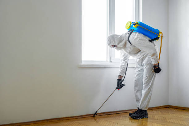 Best Flea Control Services  in Ogden, NC