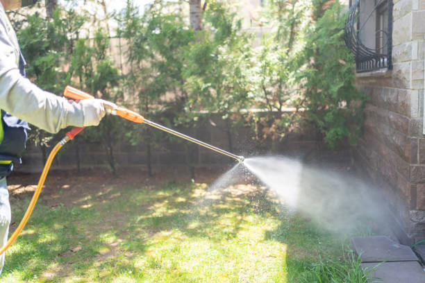 Best Affordable Pest Control Services  in Ogden, NC